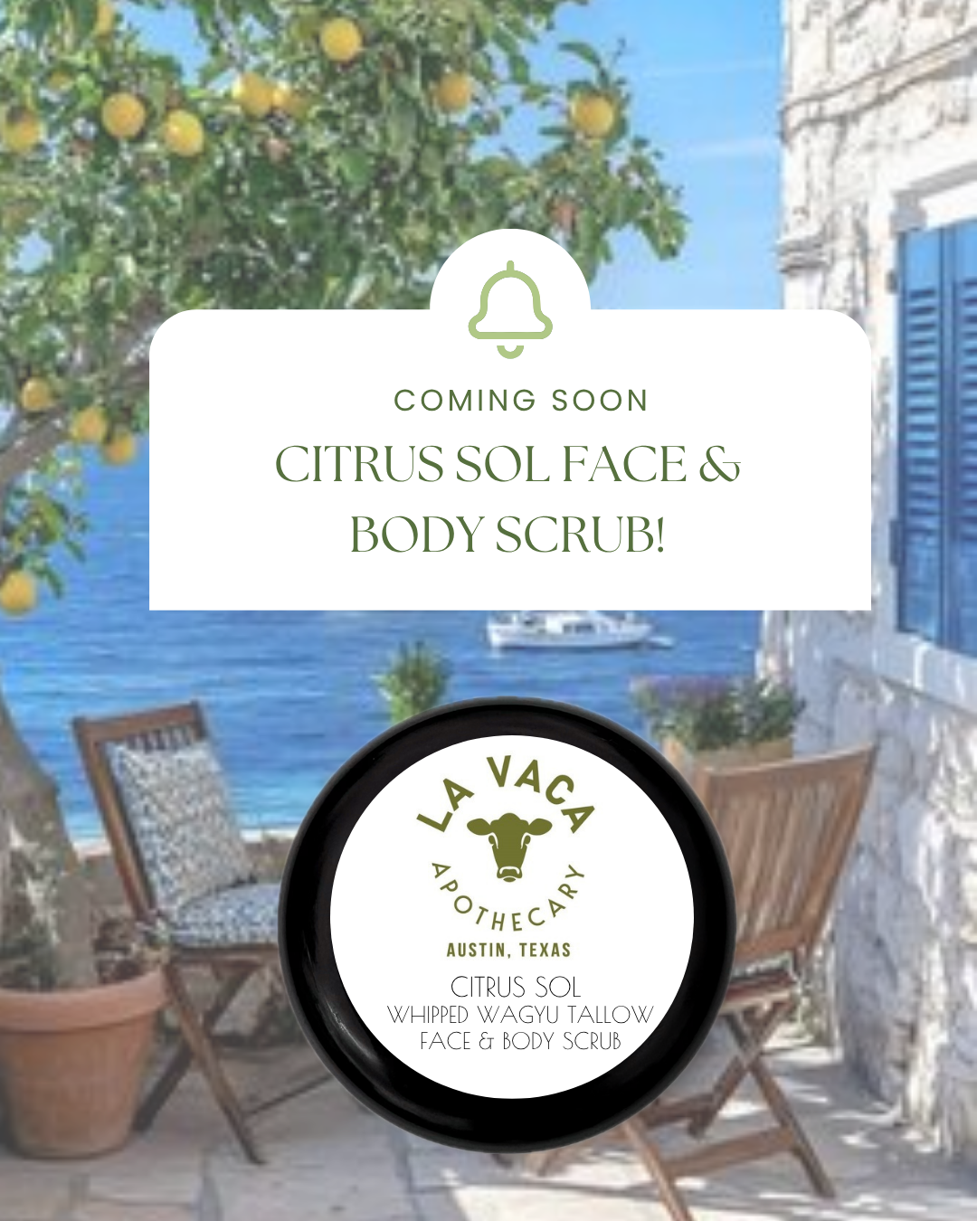 Citrus Sol